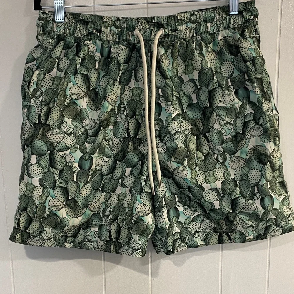 Brooks Brothers Cactus Print Swim Trunks | Drawstring | Size L